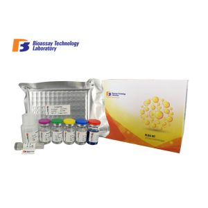 Quality 96 Wells Sort1 Human Elisa Kit High Precision / Sensitivity For Research for sale