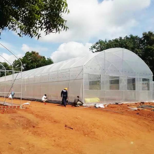 Buy Wind Resistance Plastic Film Greenhouse with 90% Light Transmittance at wholesale prices