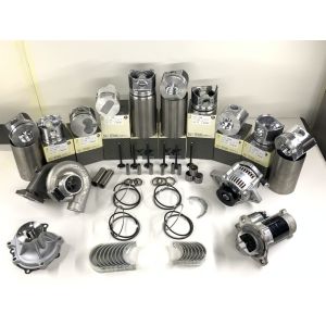 BD30 Rebuild Overhaul Kits For Nissan Engine Parts