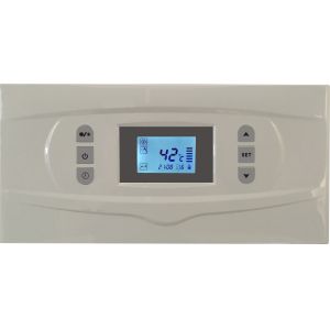 Home Appliance Wall Hung Gas Boiler With Microcomputer Automatic Control