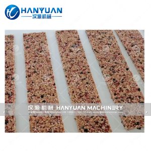 Fruit Bar Production Line