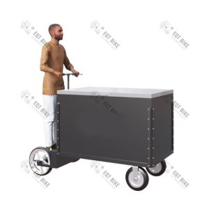 China 255mm Front Wheel 48V 23km/H 1000W Tricycle Cargo Bike on sale