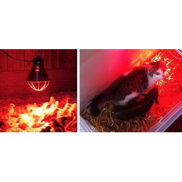 Red infrared lamp 100W 150W 175W 200W 250W 275W animal chicken pig pet therapy infrared heating bulb