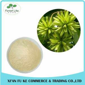 100% Natural Chaste Tree / Fructus Viticis Extract Powder
