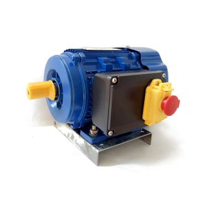 Quality AC Current 2800RPM Single Phase Capacitor Motor With Controller For Machine Tool 1HP for sale