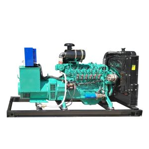 CNG LNG gas generator natural gas generator 300kva