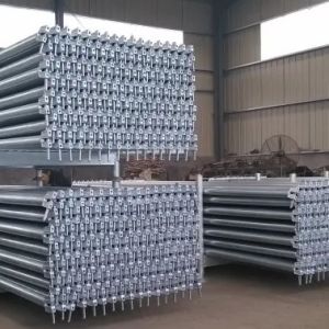 Ringlock Standard Safe Scaffold Locking Mechanism Versatile Ringlock Scaffold