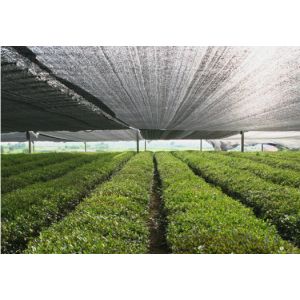 Agriculture Frame Mesh Harvest Bags / Mesh Vegetable Storage Bags