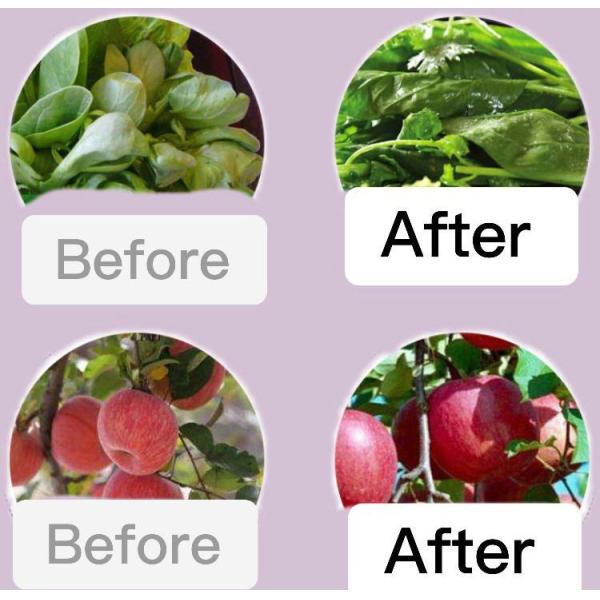 Seaweed Extract Organic Water Soluble Liquid Fertilizer Amino Seaweed