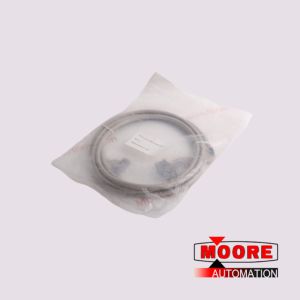 FS-SICC-0001/L10 HOENYWELL FTA Interconnection Cable