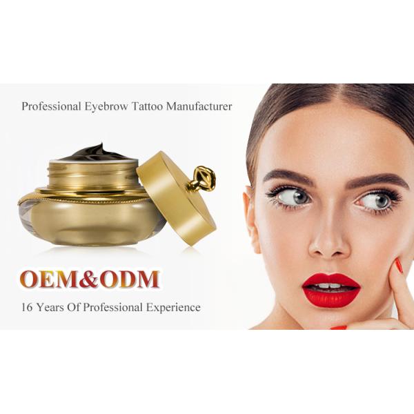 Eyebrow Permanent Makeup Pigments GMT Cosmetic Perma Blend Tattoo Ink Academy