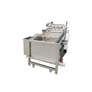 Fresh Mango Brush Roller 500kg/hour Vegetable Washing Machine