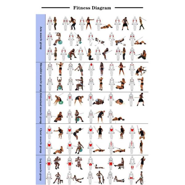 1200mm 100lbs Stretching Rubber Band For Strength Training