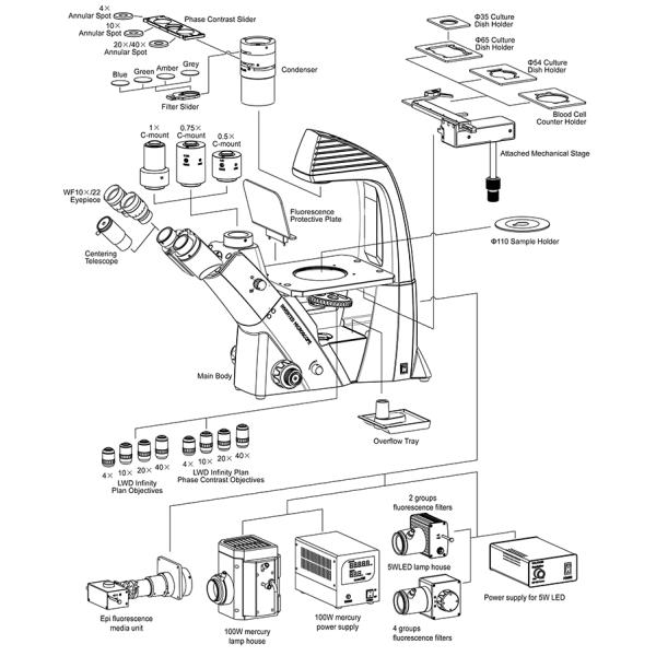 A14.2603-TR Lab Biological Inverted Optical Microscope Large Diameter Quintuple Nosepiece