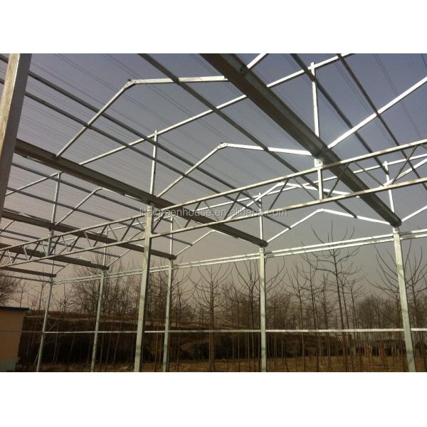 Green Agricultural Glass Greenhouse with 5mm Covering Span Width 9.6m 10.8m 12m