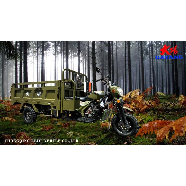 2022 200/250/300cc Tricycle Cargo Bike with Gasoline Engine and 2*1.3m Cargo Box Size