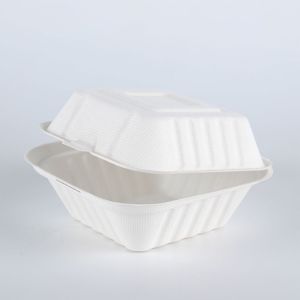 Biodegradable catering Burger takeaway food container box