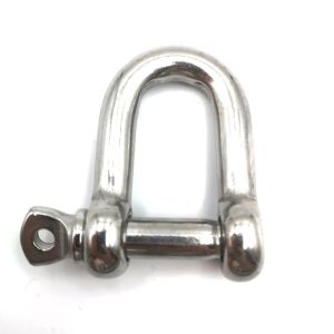 Stainless Steel Screw Pin D Shackles