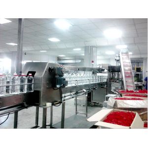 Automatic 2-5L Oil Bottle Handle Applicator Inserting Machine Handle Pressing