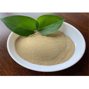 Soy Protein Hydrolysis Free Amino Acid 80% Light Yellow Powder