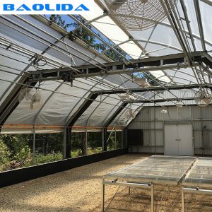 Sides Ventilation Light Deprivation Greenhouse Hot Dip Galvanized