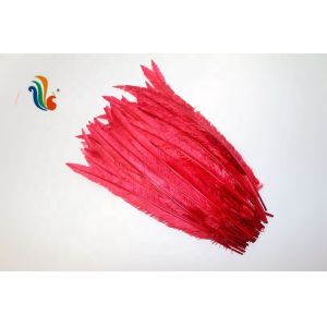 Party Decoration Nandu Plumes Feather Dyed Pattern for Worldwide Shipping