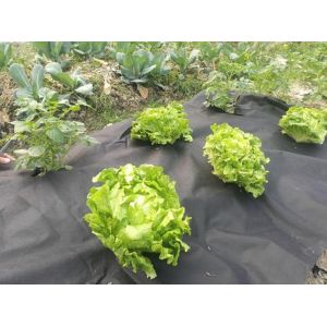 Customized Packaging Bags Fabric 100 PP Non Woven Material Medicl