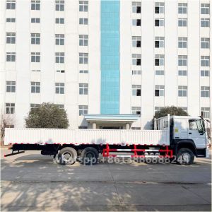 Export HOWO 6 * 4 Cargo Transporter Delivery Truck