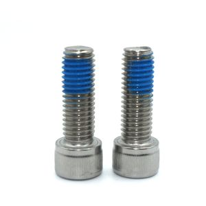 ISO9001 2015 Certified Metric Stainless Steel Nylon Coated Hex Socket Cap Screw