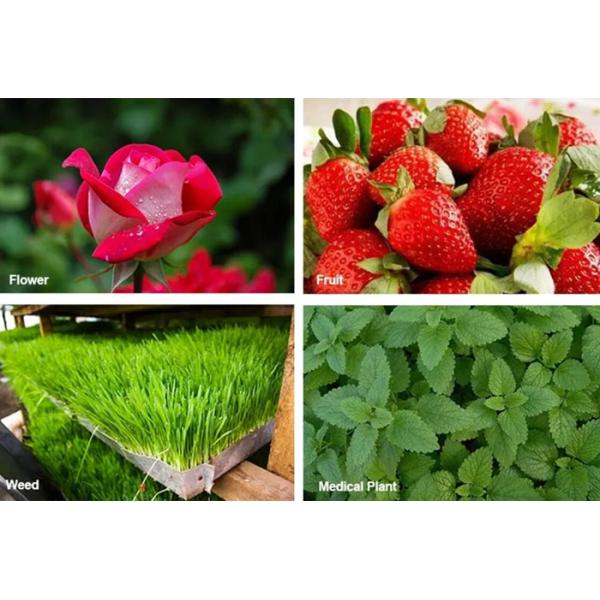 High Power Greenhouse Grow Lights 800W , LED Grow Lights For Indoor Gardening COB Lamp