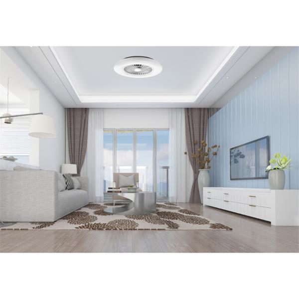 Ceiling Fan Light with Starlight Cover