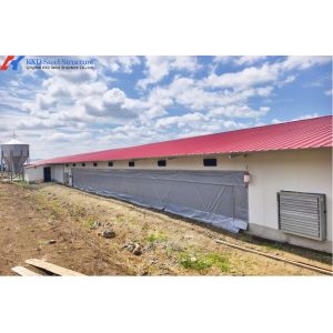 Automatic Steel Poultry House Prefab Broiler Chicken Houses with Ventilation