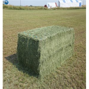 Agriculture PP/ PE Packaging Baler Twine