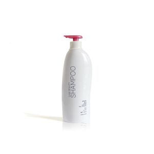 Quality 800ml Amazing Empty Plastic Shampoo Bottles Streamlined Shape Design for sale