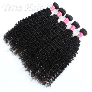Long Lasting Grade Peruvian Hair Kinky Curly Weave With Tangle Free