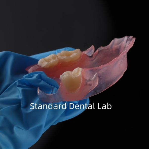 High Esthetics Dental TCS Valplast Flexible Partial Dentures Dental Lab pink shade