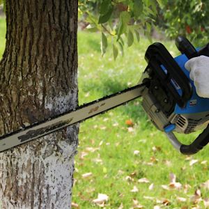 2 Stroke Gasoline 20'' 5800cc Chain Saw 58cc Chainsaw