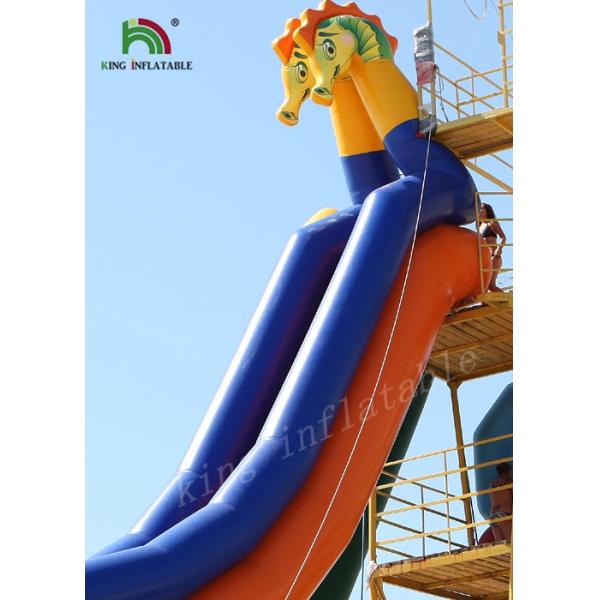 Seahorse Plato PVC Inflatable Water Slide / Yellow Blue Giant Water Slide For Rentals