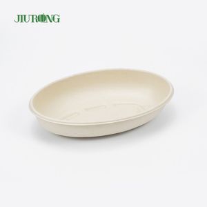 Eco Friendly Disposable Sugarcane Bagasse Food Container Biodegradable