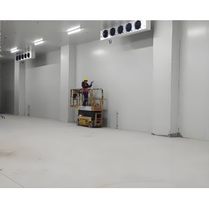 Quality quick install Industrial Cold Room Food Storage 10m3-100m3 Capacity for sale