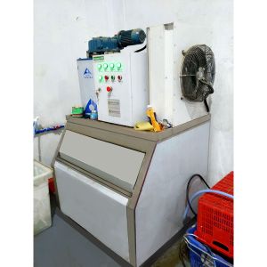 Quality Flake Ice Maker Supermarket Fresh Seafood And Meat Borneol Equipment for sale