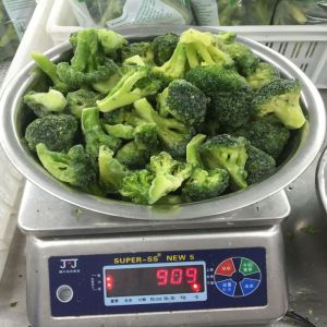 Premium IQF Frozen Vegetables / Green Broccoli Safe And Healthy Food