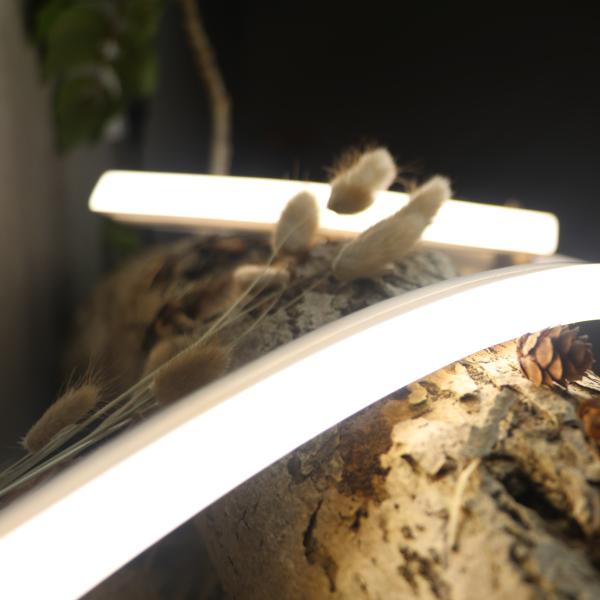 Buy 24V Flexible Silicone LED Neon Light Warm White Architectural Lighting ERP at wholesale prices