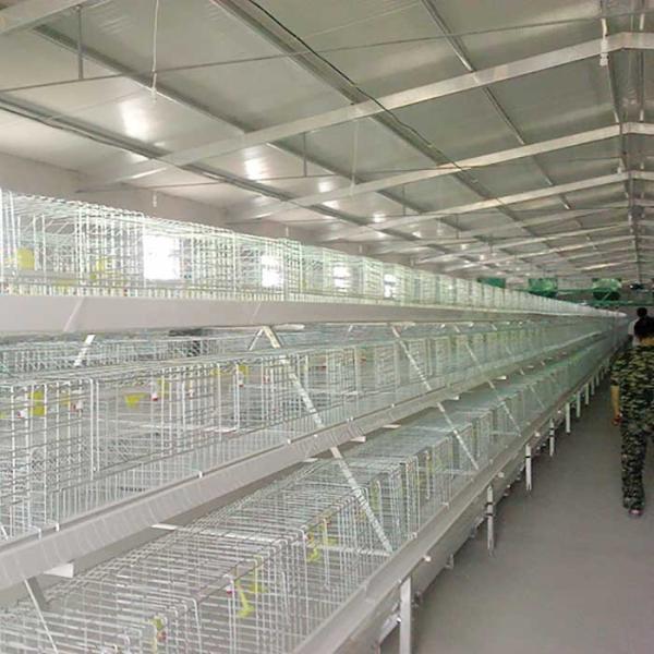 Buy High Efficiency Broiler Chicken Cage With Nipple Drinker IS9001 Certification at wholesale prices