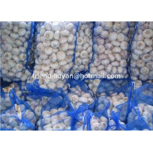 Breathable PE Mesh Woven Bag Garlic Packing Rachel Bags