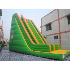 Giant Inflatable Sport Slide (CYSL-35)