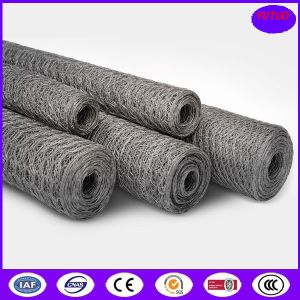 Quality High Quality Small Hole Chicken Wire Mesh for sale