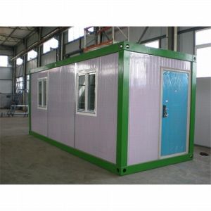 standard e type containr living house