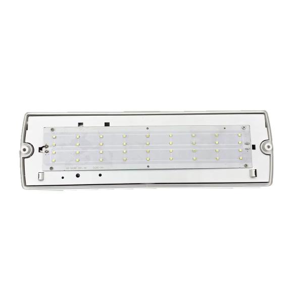 Emergency Led Lamps Manufacturer Supply Emergency Lighting Plastic Rechargeable Recessed IP65 Waterproof White Li-ion 60