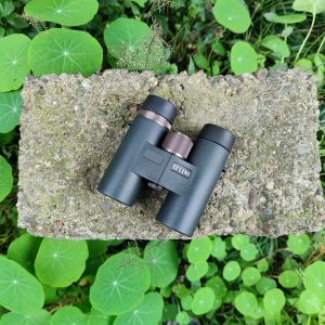 8x32 10x32 Waterproof ED Binoculars For Sightseeing